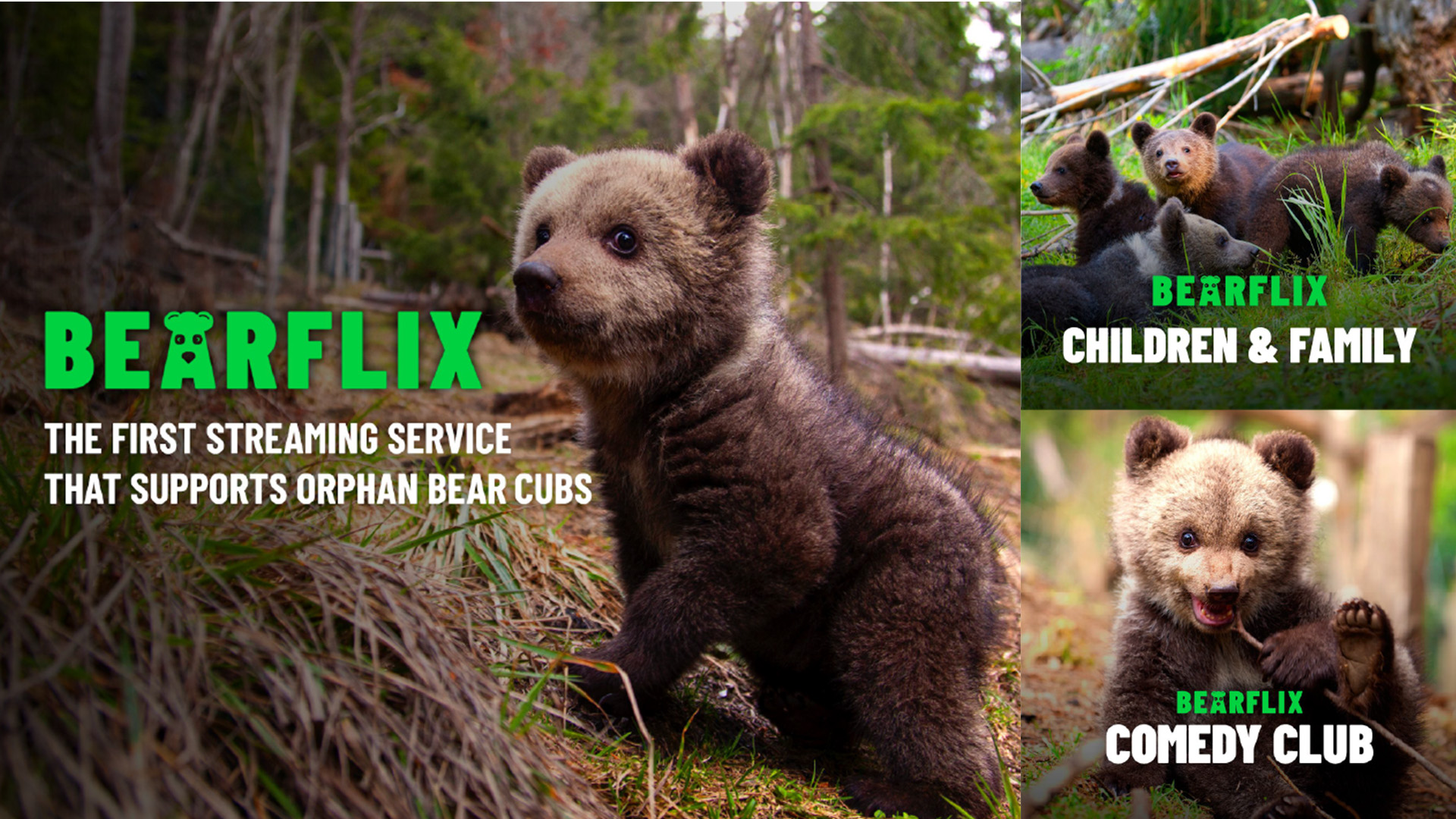 WEbsite2025-_0004s_0000_WWF-bearflix-Asset-3@4x.webp